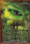 Visible secret